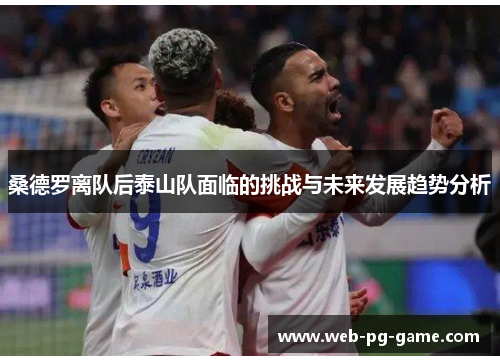 桑德罗离队后泰山队面临的挑战与未来发展趋势分析