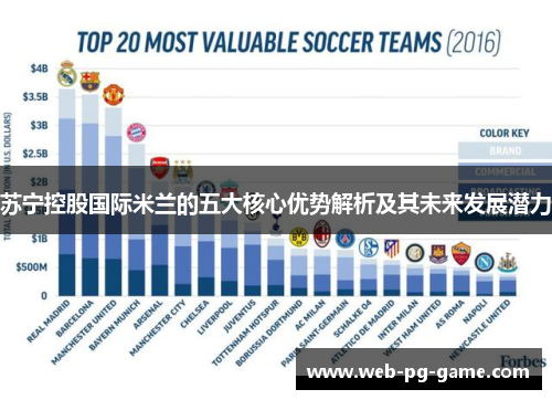 苏宁控股国际米兰的五大核心优势解析及其未来发展潜力 苏宁控股国际米兰的五大核心优势解析及其未来发展潜力