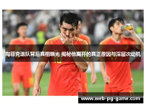 陶菲克退队背后真相曝光 揭秘他离开的真正原因与深层次动机