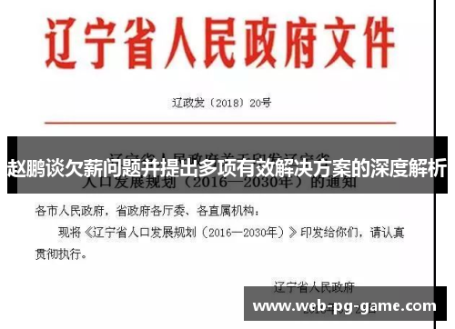 赵鹏谈欠薪问题并提出多项有效解决方案的深度解析