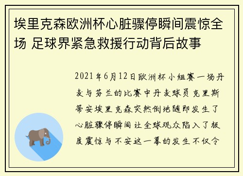 埃里克森欧洲杯心脏骤停瞬间震惊全场 足球界紧急救援行动背后故事